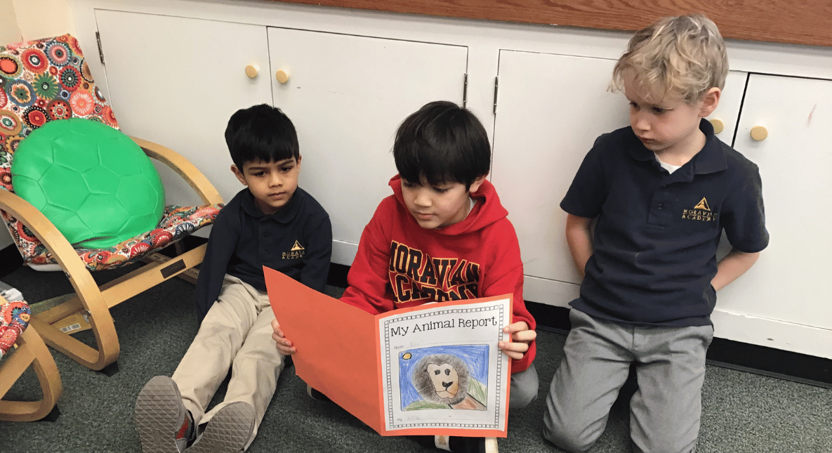 Animal visual data 2